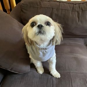 Meet your Posher, Becca